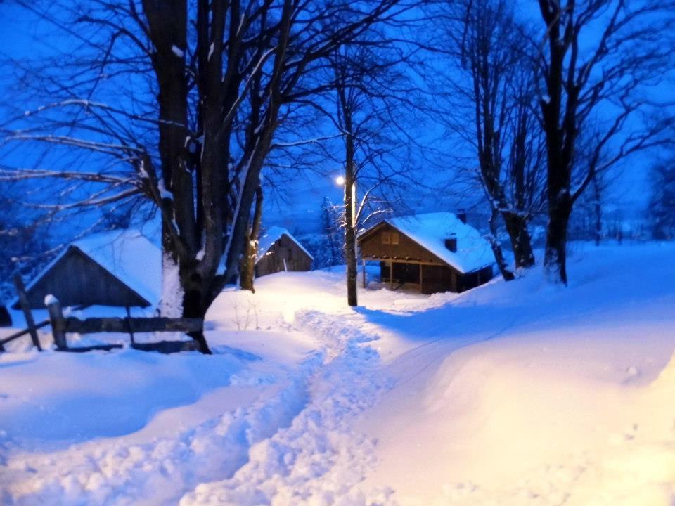 Holiday Home Trzan Josipdol Eksteriør billede